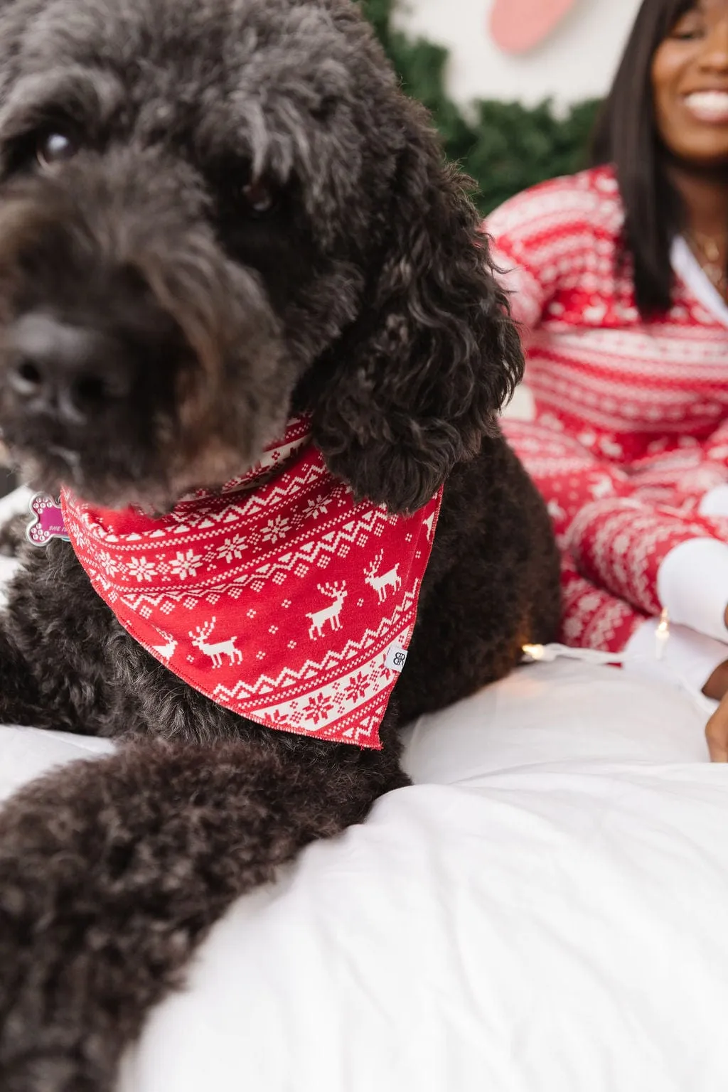 Deerly Beloved Pet Bandana