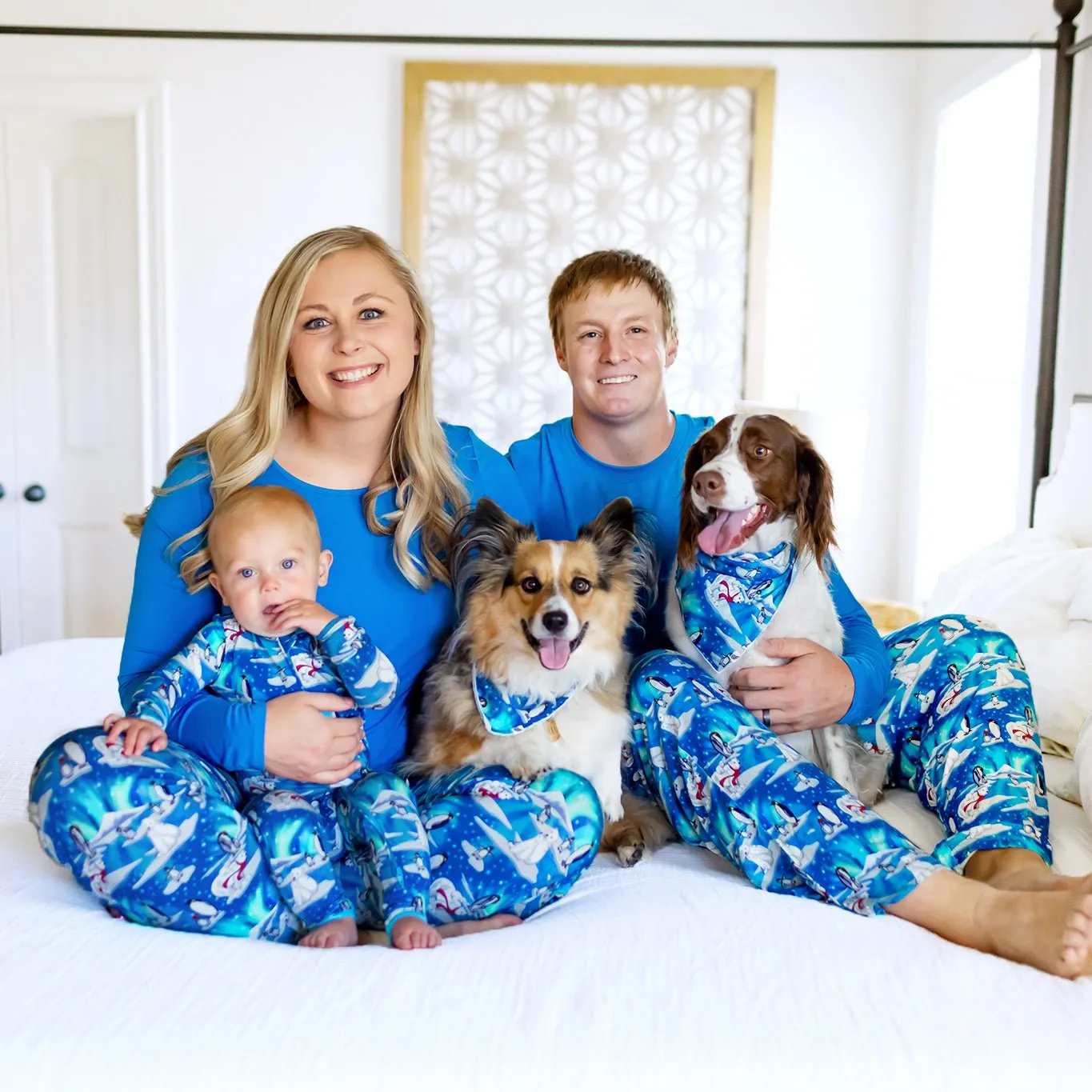 Northern Lights, Polar Bears & Penguins Men's Long Sleeve Pajama Set
