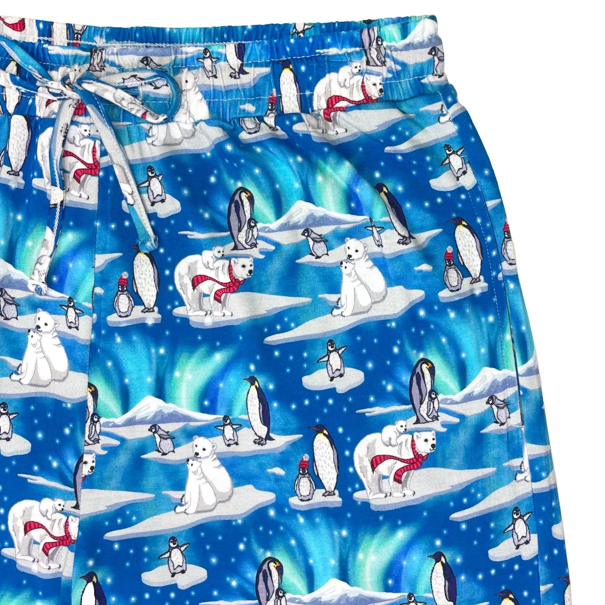 Northern Lights, Polar Bears & Penguins Men's Long Sleeve Pajama Set
